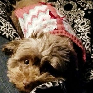 Meet your Posher, Janet